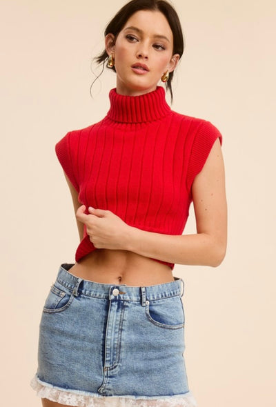 Turtle Neck Sweater