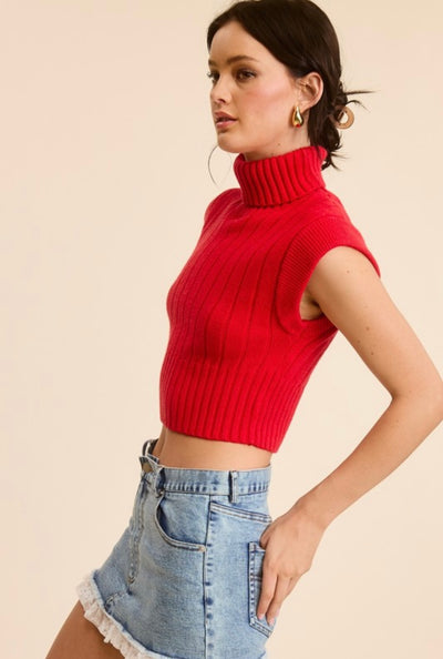 Turtle Neck Sweater